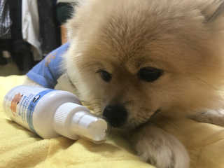 haeun98님이 올린 리뷰 사진 2