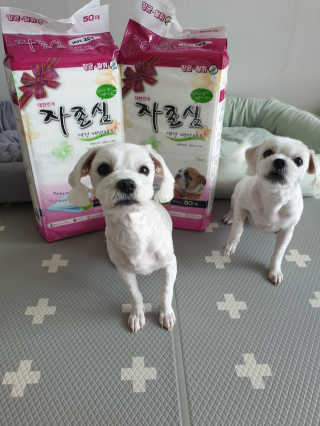 뽀야님이 올린 리뷰 사진 2