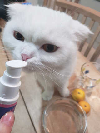 논지님이 올린 리뷰 사진 1