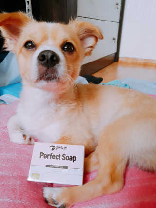 SaetbyeolPark님이 올린 리뷰 사진 1
