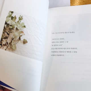천수현님이 올린 리뷰 사진 2