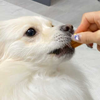 무밤쿠니님이 올린 리뷰 사진 3