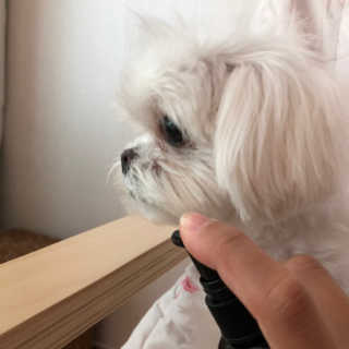 율리킴님이 올린 리뷰 사진 2