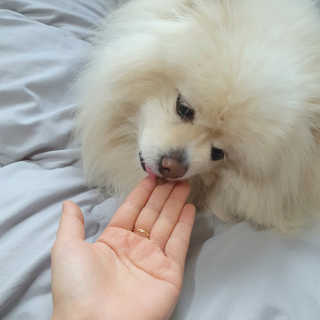 치리짱님이 올린 리뷰 사진 2