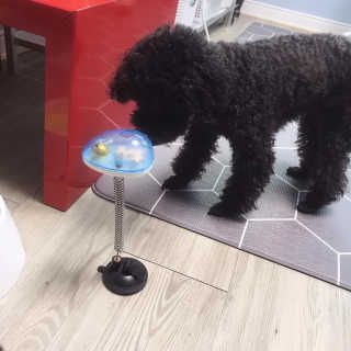 마카뇽님이 올린 리뷰 사진 1