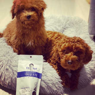 칸쵸님이 올린 리뷰 사진 2