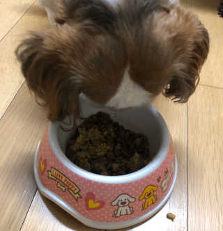 조아조아님이 올린 리뷰 사진 2