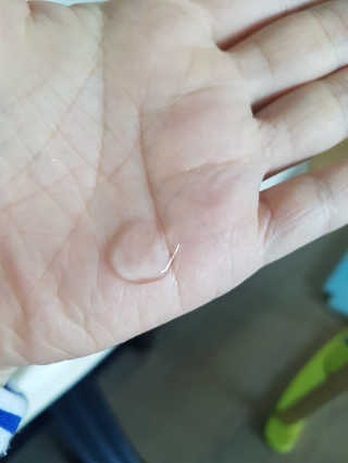 쑥님이 올린 리뷰 사진 3