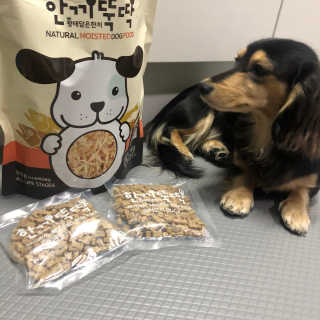 [펫토리아] 맛도 영양도 BEST 한끼뚝딱 강아지 사료 — 5점을 준 리뷰어가 2019년 4월 올린 사용 사진
