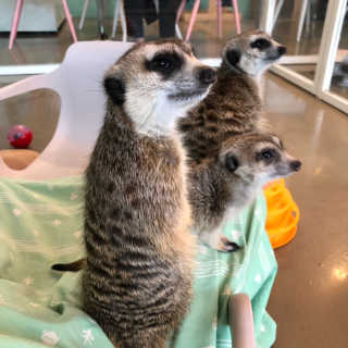 효자님이 올린 리뷰 사진 1