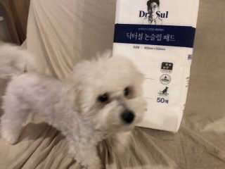 바다님이 올린 리뷰 사진 2