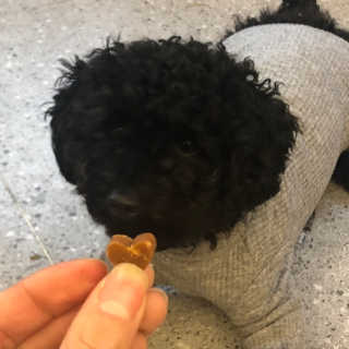 멍이냥이님이 올린 리뷰 사진 3