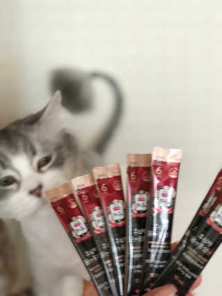 도토밤님이 올린 리뷰 사진 3