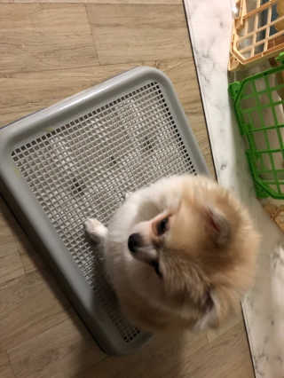 respectothers님이 올린 리뷰 사진 3