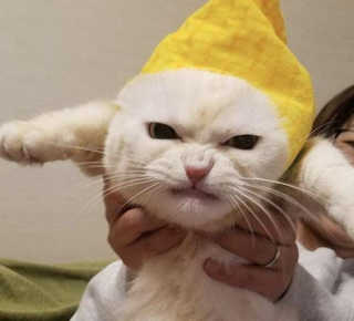 윰이님이 올린 리뷰 사진 2