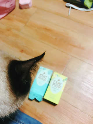 바디홀릭 바디미스트 라임포션+민트포션 — 4.67점을 준 리뷰어가 2018년 11월 올린 사용 사진