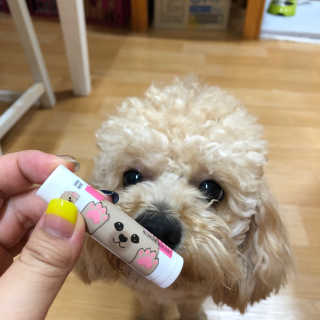 더블리스풀독 샤이니 포우 버터 0.15oz [천연 발바닥 보호제] — 5점을 준 리뷰어가 2018년 7월 올린 사용 사진