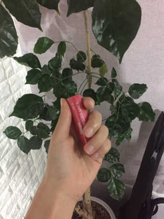 블리스텍스 립 릴리프 크림 립밤, 립 바이브런스 립밤 — 5점을 준 리뷰어가 2018년 11월 올린 사용 사진