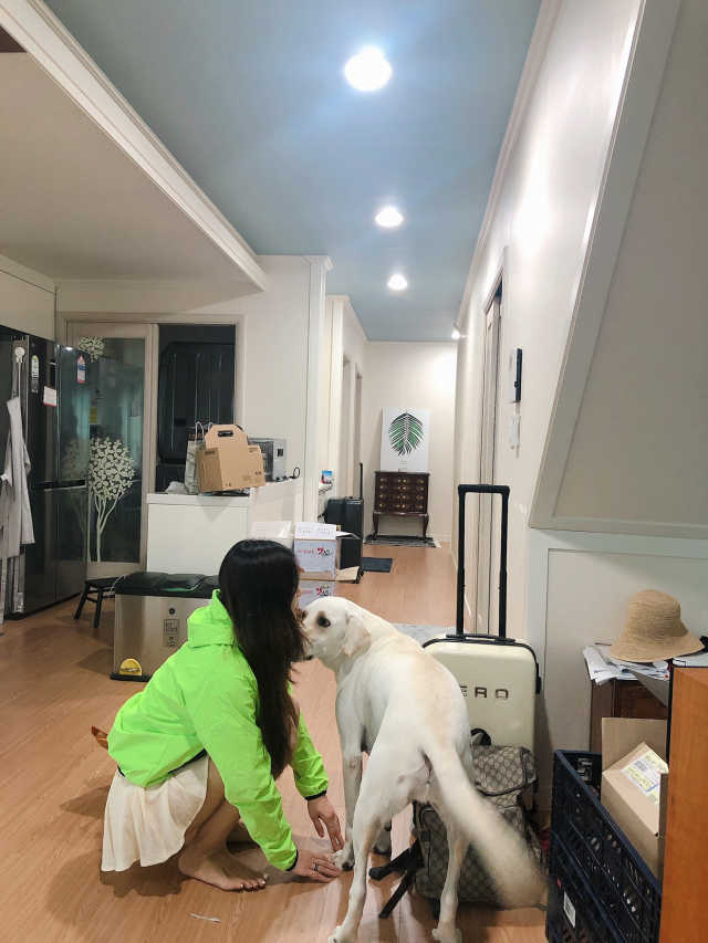 베러댄라이프 부스터슈트 상의 리뷰 사진