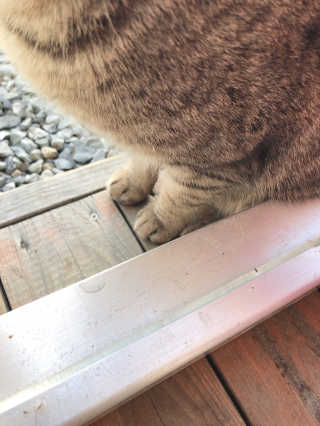 dud714님이 올린 리뷰 사진 3