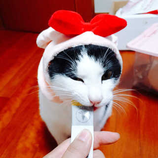 한라봉님이 올린 리뷰 사진 3