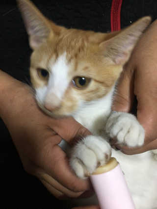 만쟈님님이 올린 리뷰 사진 3