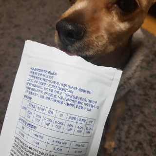 롤리팝님이 올린 리뷰 사진 3