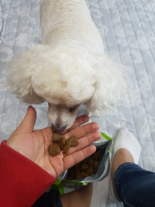 eunhye18181님이 올린 리뷰 사진 1