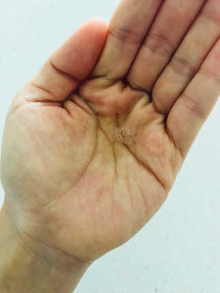 raonhae님이 올린 리뷰 사진 3