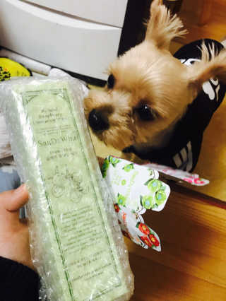 김민지님이 올린 리뷰 사진 1
