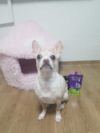 노라님이 올린 리뷰 사진 2