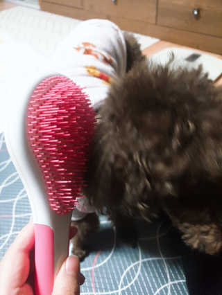 깨비님이 올린 리뷰 사진 4