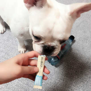 불독키우는개엄마❤️님이 올린 리뷰 사진 1