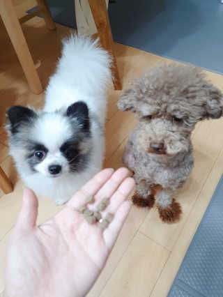 코콩님이 올린 리뷰 사진 3