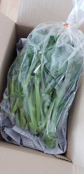 비니맘님이 올린 리뷰 사진 1