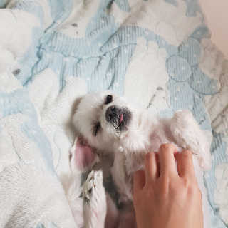 YLEMOM님이 올린 리뷰 사진 3