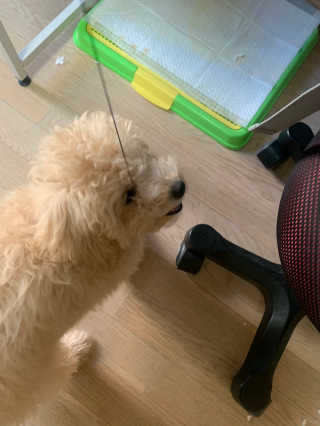 leah님이 올린 리뷰 사진 3