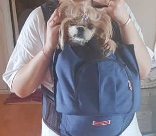 민준맘님이 올린 리뷰 사진 1