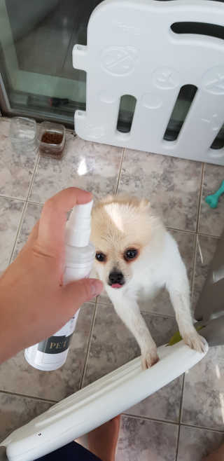 호이Hoi님이 올린 리뷰 사진 2
