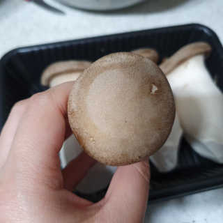 투희맘님이 올린 리뷰 사진 4