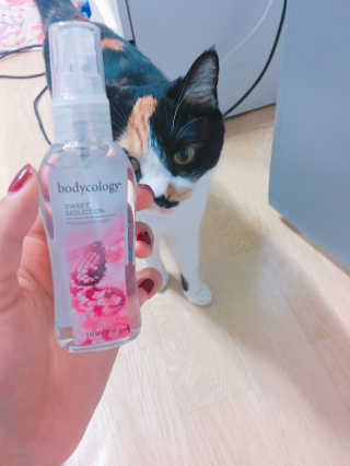 미니님이 올린 리뷰 사진 2