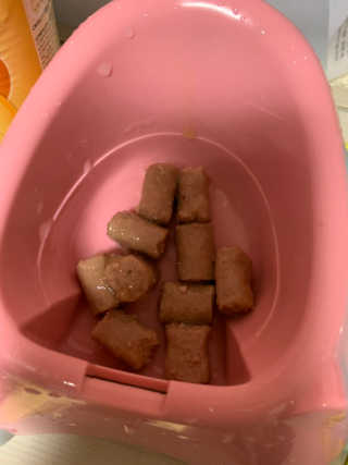[펫토리아]배피 고양이,빌리강아지 대용량주식캔 — 5점을 준 리뷰어가 2019년 7월 올린 사용 사진