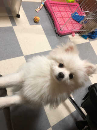 뿌쏘님이 올린 리뷰 사진 4