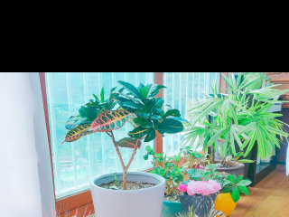 빠밤님이 올린 리뷰 사진 3