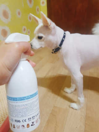 이솔미님이 올린 리뷰 사진 2