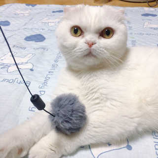 Dragonzoo님이 올린 리뷰 사진 1