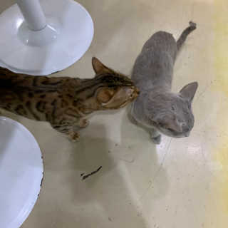 bee님이 올린 리뷰 사진 3