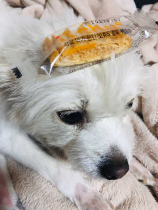 Lily님이 올린 리뷰 사진 1