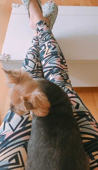 장진아님이 올린 리뷰 사진 1