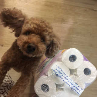 reeem님이 올린 리뷰 사진 3